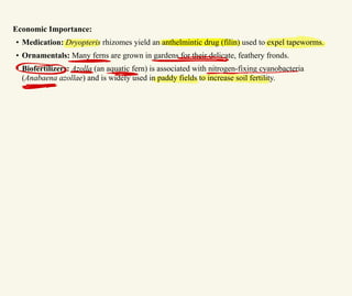Economic Importance:
• Medication: Dryopteris rhizomes yield an anthelmintic drug (filin) used to expel tapeworms.
• Ornamentals: Many ferns are grown in gardens for their delicate, feathery fronds.
• Biofertilizers: Azolla (an aquatic fern) is associated with nitrogen-fixing cyanobacteria
(Anabaena azollae) and is widely used in paddy fields to increase soil fertility.
丕 ^
∞ -
>
> ー
⇐
 