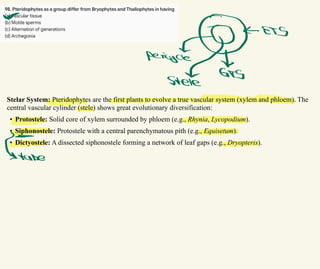 Stelar System: Pteridophytes are the first plants to evolve a true vascular system (xylem and phloem). The
central vascular cylinder (stele) shows great evolutionary diversification:
• Protostele: Solid core of xylem surrounded by phloem (e.g., Rhynia, Lycopodium).
• Siphonostele: Protostele with a central parenchymatous pith (e.g., Equisetum).
• Dictyostele: A dissected siphonostele forming a network of leaf gaps (e.g., Dryopteris).
r
Oters
perigad
S
tube
 
