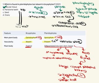 Peridophytes
∞ Xylem phioem t
top * tylemi phloem
-
Vesseld ⑨
Sievetube Liberalltogether
ㅓ -
>trastried -sieve
cally absent
companion celle
éfrost -albuminous cell
ㄻ CaD
cast vascular plan)
羊
Tiern
to
sepimeral unizome
replaced adventitious tfrond
고
large compe pinnated
leaves
Selaginella
∝
simpleleaf
 