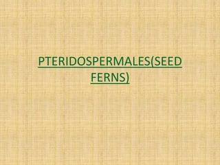PTERIDOSPERMALES(SEED
FERNS)
 
