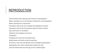 REPRODUCTION
Spores develop within sporangia and it borne on sporangiophore
Mature sporangia are sac-like attached to pellate disc of sporangiophore
Mature sporangia has 2 layered wall
Sporangium matures,the axes elongates,sporangiophores separate
Sporangium dries,shrink & sporangium reptures & spores releases
Spore germinates to a prothallus
Antheridia and archegonia are present
Protogynous
Archegonia has small neck and swellan base
Antherozoides are formed inside the antheridia
At maturity, neck canal cells &venter cells of archegonia desentegrates
Desentegrate mass attract antherozoides towards the neck
Only one antherozoid fuses with egg to form a diploid zygote
 
