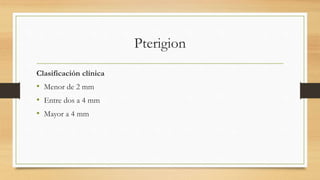 Pterigion
Clasificación clínica
• Menor de 2 mm
• Entre dos a 4 mm
• Mayor a 4 mm
 