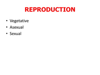 REPRODUCTION
• Vegetative
• Asexual
• Sexual
 