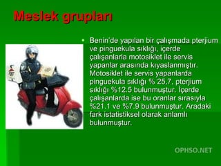 Meslek grupları Benin’de yapılan bir çalışmada pterjium ve pinguekula sıklığı, içerde çalışanlarla motosiklet ile servis yapanlar arasında kıyaslanmıştır. Motosiklet ile servis yapanlarda pinguekula sıklığı % 25,7, pterjium sıklığı %12.5 bulunmuştur. İçerde çalışanlarda ise bu oranlar sırasıyla %21.1 ve %7.9 bulunmuştur. Aradaki fark istatistiksel olarak anlamlı bulunmuştur.  