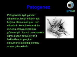 Patogenez <ul><ul><li>Patogenezle ilgili yapılan </li></ul></ul><ul><ul><li>çalışmalar, hiçbir etkenin tek </li></ul></ul>...