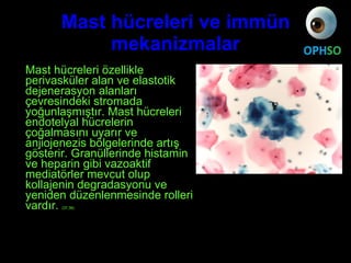 Mast hücreleri ve immün mekanizmalar <ul><li>Mast hücreleri özellikle perivasküler alan ve elastotik dejenerasyon alanları...