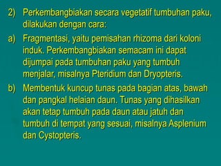 2) Perkembangbiakan secara vegetatif tumbuhan paku,
   dilakukan dengan cara:
a) Fragmentasi, yaitu pemisahan rhizoma dari koloni
   induk. Perkembangbiakan semacam ini dapat
   dijumpai pada tumbuhan paku yang tumbuh
   menjalar, misalnya Pteridium dan Dryopteris.
b) Membentuk kuncup tunas pada bagian atas, bawah
   dan pangkal helaian daun. Tunas yang dihasilkan
   akan tetap tumbuh pada daun atau jatuh dan
   tumbuh di tempat yang sesuai, misalnya Asplenium
   dan Cystopteris.
 