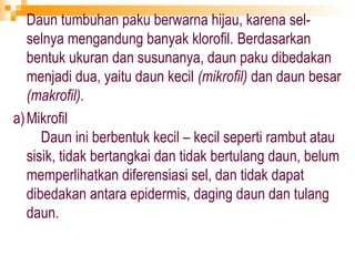 Daun tumbuhan paku berwarna hijau, karena sel-
   selnya mengandung banyak klorofil. Berdasarkan
   bentuk ukuran dan susunanya, daun paku dibedakan
   menjadi dua, yaitu daun kecil (mikrofil) dan daun besar
   (makrofil).
a) Mikrofil
      Daun ini berbentuk kecil – kecil seperti rambut atau
   sisik, tidak bertangkai dan tidak bertulang daun, belum
   memperlihatkan diferensiasi sel, dan tidak dapat
   dibedakan antara epidermis, daging daun dan tulang
   daun.
 