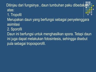Ditinjau dari fungsinya , daun tumbuhan paku dibedakan
atas:
1. Tropofil
Merupakan daun yang berfungsi sebagai penyelenggara
asimilasi
2. Sporofil
Daun ini berfungsi untuk menghasilkan spora. Tetapi daun
ini juga dapat melakukan fotosintesis, sehingga disebut
pula sebagai troposporofil.
 