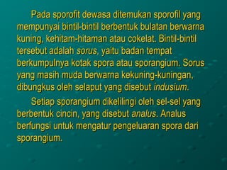 Pada sporofit dewasa ditemukan sporofil yang
mempunyai bintil-bintil berbentuk bulatan berwarna
kuning, kehitam-hitaman atau cokelat. Bintil-bintil
tersebut adalah sorus, yaitu badan tempat
berkumpulnya kotak spora atau sporangium. Sorus
yang masih muda berwarna kekuning-kuningan,
dibungkus oleh selaput yang disebut indusium.
    Setiap sporangium dikelilingi oleh sel-sel yang
berbentuk cincin, yang disebut analus. Analus
berfungsi untuk mengatur pengeluaran spora dari
sporangium.
 