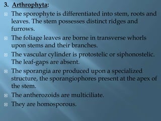 3. Arthrophyta:
 The sporophyte is differentiated into stem, roots and
leaves. The stem possesses distinct ridges and
furrows.
 The foliage leaves are borne in transverse whorls
upon stems and their branches.
 The vascular cylinder is protostelic or siphonostelic.
The leaf-gaps are absent.
 The sporangia are produced upon a specialized
structure, the sporangiophores present at the apex of
the stem.
 The antherozoids are multiciliate.
 They are homosporous.
 
