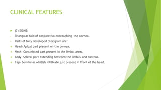 CLINICAL FEATURES
 (3) SIGNS:
• Triangular fold of conjunctiva encroaching the cornea.
• Parts of fully developed pterygium are:
 Head- Apical part present on the cornea.
 Neck- Constricted part present in the limbal area.
 Body- Scleral part extending between the limbus and canthus.
 Cap- Semilunar whitish infiltrate just present in front of the head.
 
