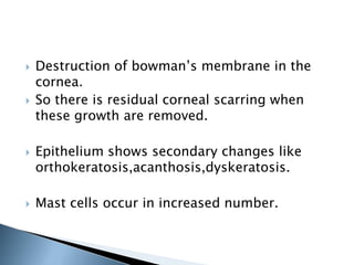  Destruction of bowman’s membrane in the
cornea.
 So there is residual corneal scarring when
these growth are removed.
 Epithelium shows secondary changes like
orthokeratosis,acanthosis,dyskeratosis.
 Mast cells occur in increased number.
 