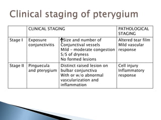 CLINICAL STAGING PATHOLOGICAL
STAGING
Stage I Exposure
conjunctivitis
Size and number of
Conjunctival vessels
Mild – moderate congestion
S/S of dryness
No formed lesions
Altered tear film
Mild vascular
response
Stage II Pinguecula
and pterygium
Distinct raised lesion on
bulbar conjunctiva
With or w/o abnormal
vascularization and
inflammation
Cell injury
Inflammatory
response
 