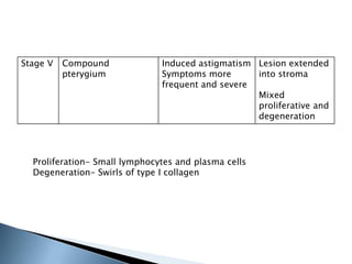 Stage V Compound
pterygium
Induced astigmatism
Symptoms more
frequent and severe
Lesion extended
into stroma
Mixed
proliferative and
degeneration
Proliferation- Small lymphocytes and plasma cells
Degeneration- Swirls of type I collagen
 
