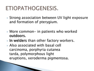  Strong association between UV light exposure
and formation of pterygium.
 More common- in patients who worked
outdoors.
 In welders than other factory workers.
 Also associated with basal cell
carcinoma, porphyria cutanea
tarda, polymorphous light
eruptions, xeroderma pigmentosa.
 