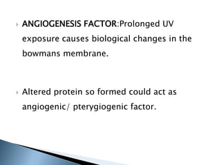  ANGIOGENESIS FACTOR:Prolonged UV
exposure causes biological changes in the
bowmans membrane.
 Altered protein so formed could act as
angiogenic/ pterygiogenic factor.
 