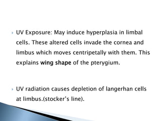 UV Exposure: May induce hyperplasia in limbal
cells. These altered cells invade the cornea and
limbus which moves centripetally with them. This
explains wing shape of the pterygium.
 UV radiation causes depletion of langerhan cells
at limbus.(stocker’s line).
 