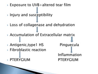    Exposure to UVB+altered tear film

   Injury and susceptibility

   Loss of collagenase and dehydration

   Accumulation of Extracellular matrix

   Antigenic,type1 HS          Pinguecula
   Fibroblastic reaction
                                Inflammation
   PTERYGIUM                   PTERYGIUM
 