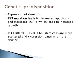    Expression of vimentin.
   P53 mutation leads to decreased apoptosis
    and increased TGF-b which leads to increased
    growth.

   RECURRENT PTERYGIUM- stem cells are more
    scattered and expression pattern is more
    denser.
 