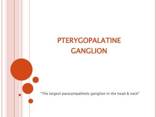 pterygopalatineganglion “The largest parasympathetic ganglion in the head & neck” 
