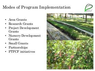Modes of Program Implementation
• Area Grants
• Research Grants
• Project Development
Grants
• Nursery Development
Grants
• Small Grants
• Partnerships
• PTFCF initiatives
 