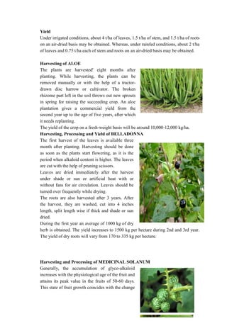 Production technology of flowers, medicinal & aromatic plants | PDF