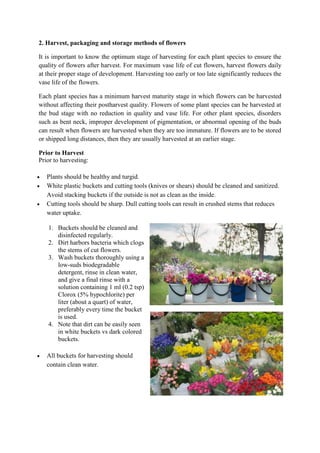 Production technology of flowers, medicinal & aromatic plants | PDF