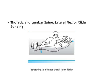 • Thoracic and Lumbar Spine: Lateral Flexion/Side
Bending
Stretching to increase lateral trunk flexion
 