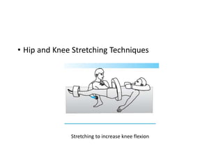 • Hip and Knee Stretching Techniques
Stretching to increase knee flexion
 