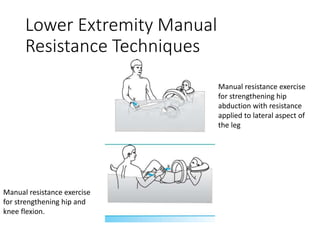 Lower Extremity Manual
Resistance Techniques
Manual resistance exercise
for strengthening hip
abduction with resistance
applied to lateral aspect of
the leg
Manual resistance exercise
for strengthening hip and
knee flexion.
 