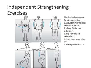 Independent Strengthening
Exercises
Mechanical resistance
for strengthening
1.shoulder internal and
external rotation
2.elbow flexion and
extension,
3. hip flexion and
extension,
4.functional squat-ting,
and
5.ankle plantar flexion
 
