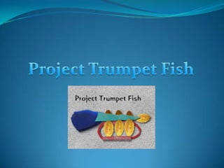 Project Trumpet Fish 