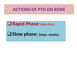 Parathyroid gland
Mg++ is necessary for optimal function
 