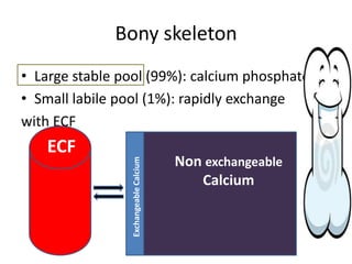Calcium
• Functions?
• Distribution: 1 kg
• Bony skeleton: 99%
• IC/ EC (plasma): 1%
 