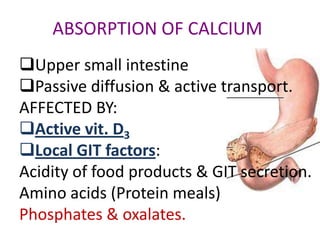 Plasma Calcium
•   Total : 9.4 -11 mg %:
•   Diffusible (mostly ionized as Ca++)
•   Non diffusible (plasma ptn-bound)
•   Ionised Ca is necessary for:

           Coagulation
        Muscles contraction
        Nerve function
 