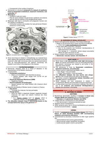 Comprehensive Kidney Pathology I: Glomerular Diseases and Clinical ...