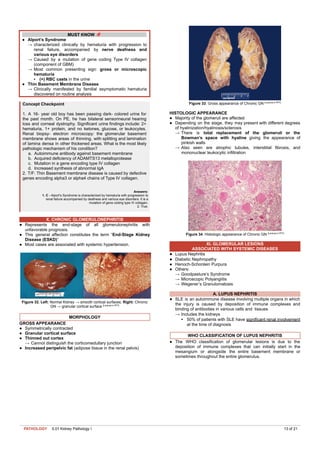 Comprehensive Kidney Pathology I: Glomerular Diseases and Clinical ...