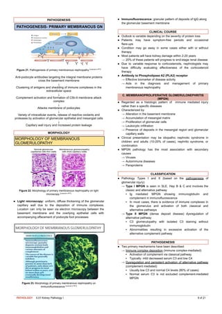 Comprehensive Kidney Pathology I: Glomerular Diseases and Clinical ...