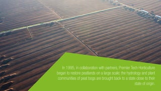 In 1995, in collaboration with partners, Premier Tech Horticulture
began to restore peatlands on a large scale; the hydrology and plant
communities of peat bogs are brought back to a state close to their
state of origin.
 