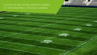 In just over 20 years, we have restored the equivalent
of 1,059 football fields (1,394 acres) in peatlands.
 