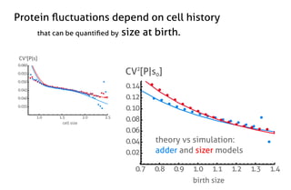 Stochastic gene expression in growing cell populations - Philipp Thomas ...