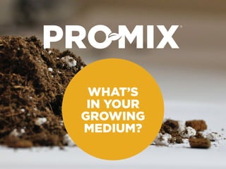 WHAT’S
IN YOUR
GROWING
MEDIUM?
 
