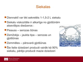 4
 Diennaktī var tikt sekretēts 1-1,5-2 L siekalu
 Siekalu viskozitāte ir atkarīga no gļotšūnām
atsevišķos diedzeros :
 Pieauss – serozas šūnas
 Zemžokļa – jaukta tipa – serozas un
gļotšūnas
 Zemmēles – pārsvarā gļotšūnas
 Šie lielie dziedzeri producē vairāk kā 90%
siekalu, pārējo producē mazie dziedzeri
Siekalas
 