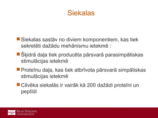 5
 Siekalas sastāv no diviem komponentiem, kas tiek
sekretēti dažādu mehānismu ietekmē :
 Šķidrā daļa tiek producēta pārsvarā parasimpātiskas
stimulācijas ietekmē
 Proteīnu daļa, kas tiek atbrīvota pārsvarā simpātiskas
stimulācijas ietekmē
 Cilvēka siekalās ir vairāk kā 200 dažādi proteīni un
peptīdi
Siekalas
 