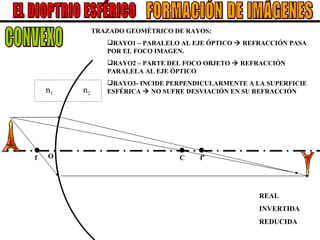 EL DIOPTRIO ESFÉRICO C O FORMACIÓN DE IMÁGENES f f’ TRAZADO GEOMÉTRICO DE RAYOS: RAYO1 – PARALELO AL EJE ÓPTICO    REFRACCIÓN PASA POR EL FOCO IMAGEN. RAYO2 – PARTE DEL FOCO OBJETO    REFRACCIÓN PARALELA AL EJE ÓPTICO RAYO3- INCIDE PERPENDICULARMENTE A LA SUPERFICIE ESFÉRICA    NO SUFRE DESVIACIÓN EN SU REFRACCIÓN REAL INVERTIDA REDUCIDA n 1 n 2 CONVEXO 