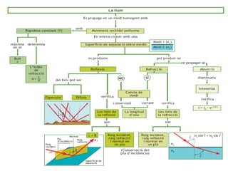 Visualització del fenomen derefracció - reflexió de la llumInterpretació  del fenomen de refracció – reflexió de la llum 