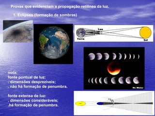 Numa complexa cadeia de trocas de energia a vida floresce no planeta.