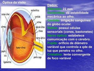 15) Um projetor cinematográfico possui lente objetiva, cuja função é inverter e ampliar a imagem projetada. Se o projetor possui objetiva com distância focal de 20 cm e a tela localiza-se a 20 m de distância da objetiva, então a distância, p, do filme ao centro óptico da objetiva é aproximadamente:a) 20/99  m		b) 89/20 m		c) 99/20 m		d) 20/89 m	  e) 94/20 m20 = p.2000/(p+2000)1 = 100p / (p + 2000)p + 2000 = 100p99p = 2000p = 2000 / 99 cmp = 20 / 99 mResp.: AF = 20 cmp’= 20 m = 2000 cmp = ?F = p.p’ / p+p’