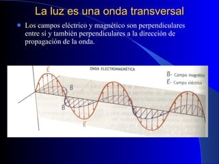 La luz es una onda transversal Los campos eléctrico y magnético son perpendiculares entre sí y también perpendiculares a la dirección de propagación de la onda. 